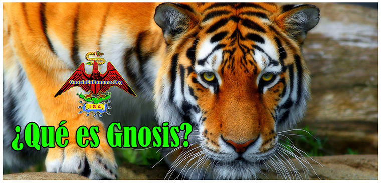 ¿Qué es Gnosis?